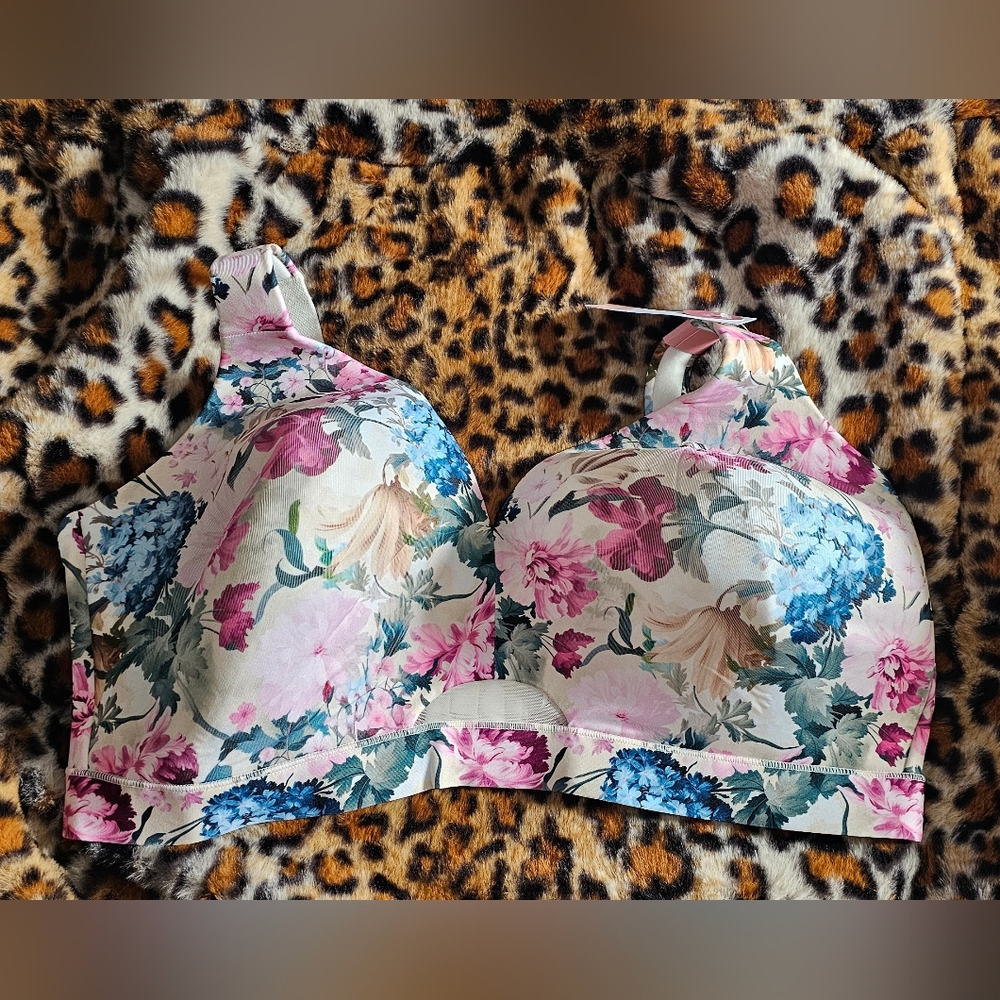 Lane Bryant Comfort Bliss bra 42DDD Two count NWT